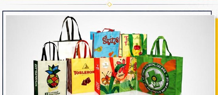 PP Non-Woven Laminated Bags