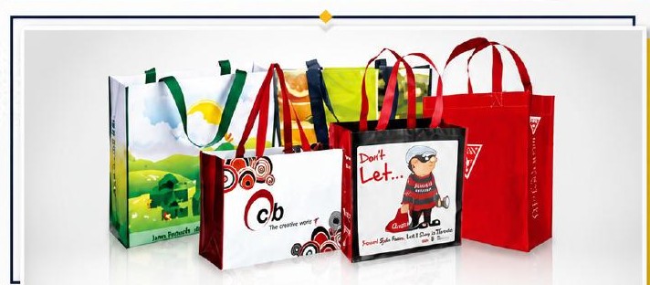 PP Woven Fabric Laminated Shopping Bags